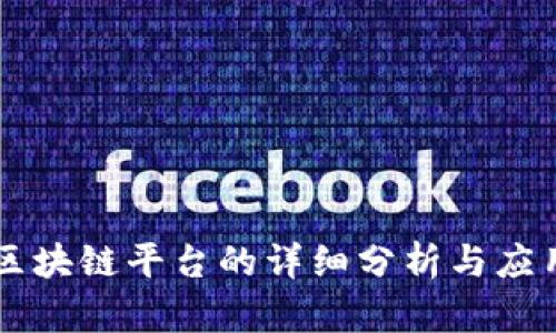 Java搭建区块链平台的详细分析与应用场景探讨