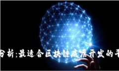 : 深入分析：最适合区块链