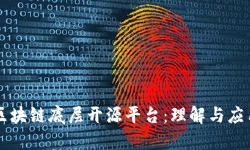 区块链底层开源平台：理解与应用